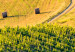 Canvas Sunny Fields of Tuscany - Landscape Photography at Sunset 149859 additionalThumb 5