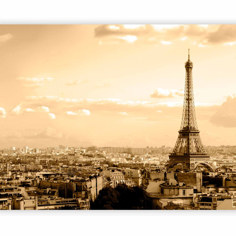 Wall Mural Paris Panorama - Sepia Eiffel Tower against Urban Architecture 59859 additionalImage 1