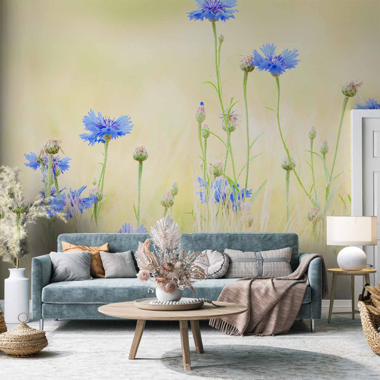 Photo Wallpaper Cornflowers - Meadow of Blue Flowers on a Light Vintage Background 60459