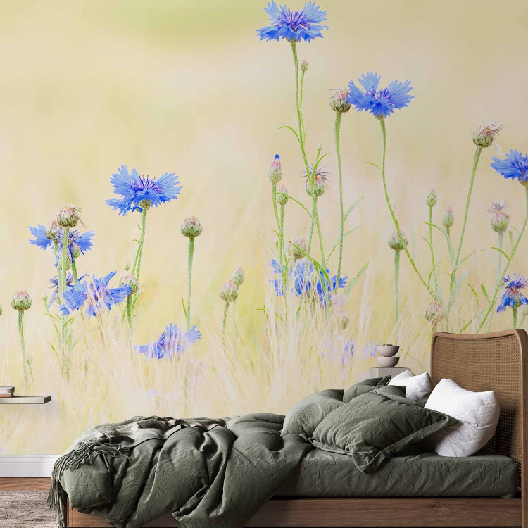 Photo Wallpaper Cornflowers - Meadow of Blue Flowers on a Light Vintage Background 60459 additionalImage 2