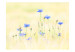 Photo Wallpaper Cornflowers - Meadow of Blue Flowers on a Light Vintage Background 60459 additionalThumb 1