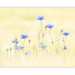 Photo Wallpaper Cornflowers - Meadow of Blue Flowers on a Light Vintage Background 60459 additionalThumb 5