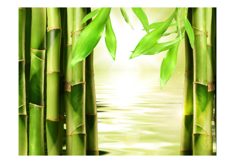 Wall Mural Orient - Asian Plant Motif with Close-up of Bamboo against Water Background 61459 additionalImage 1