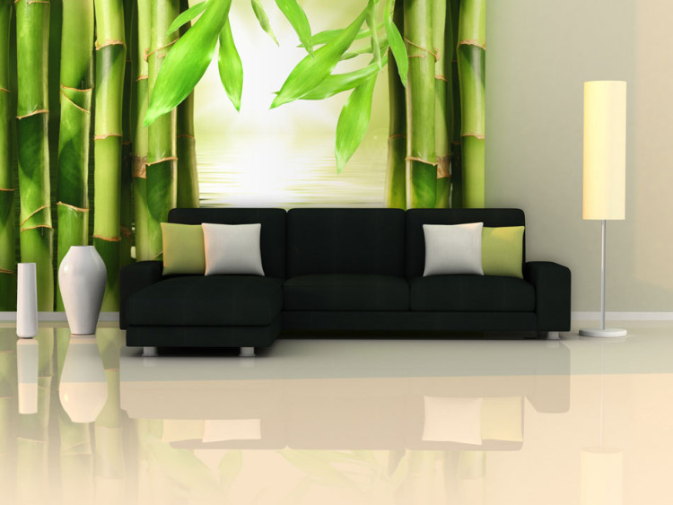 Wall Mural Orient - Asian Plant Motif with Close-up of Bamboo against Water Background 61459