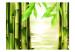 Wall Mural Orient - Asian Plant Motif with Close-up of Bamboo against Water Background 61459 additionalThumb 1