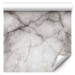 Modern Wallpaper Chiromantic Marble 117669 additionalThumb 6