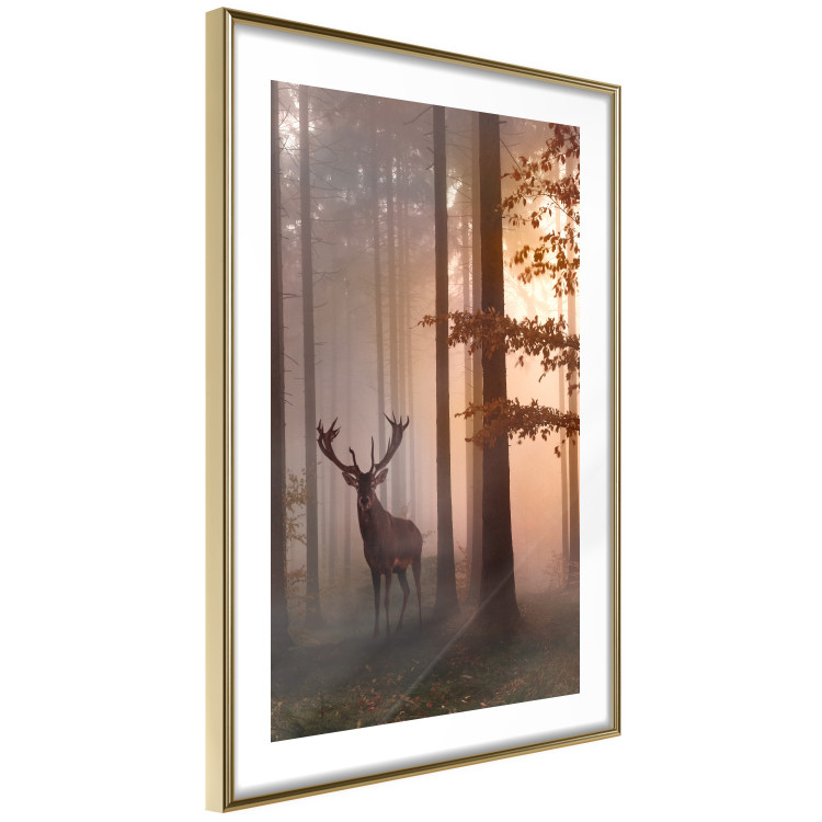 Poster Morning - wild deer among forest trees against the backdrop of an autumn landscape 120469 additionalImage 6