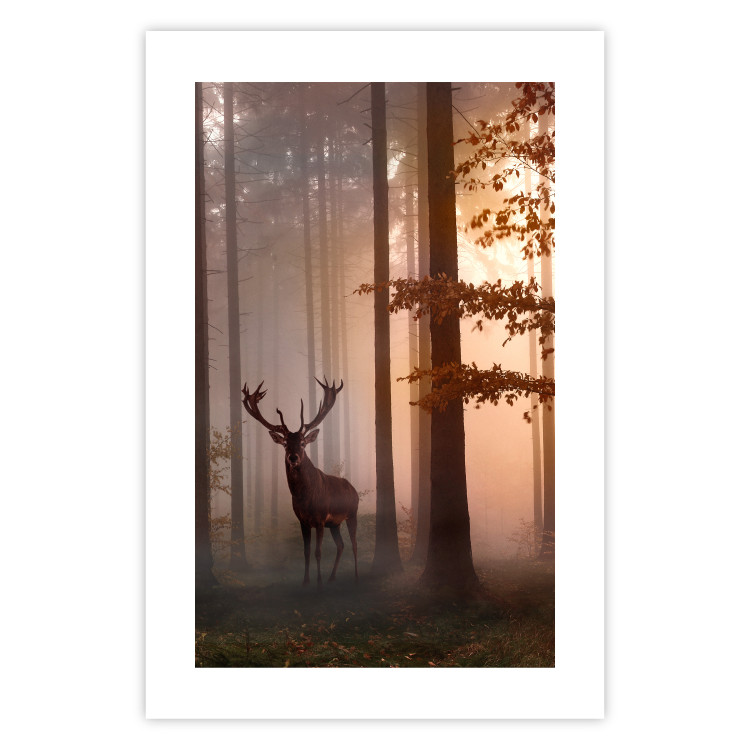 Poster Morning - wild deer among forest trees against the backdrop of an autumn landscape 120469 additionalImage 19