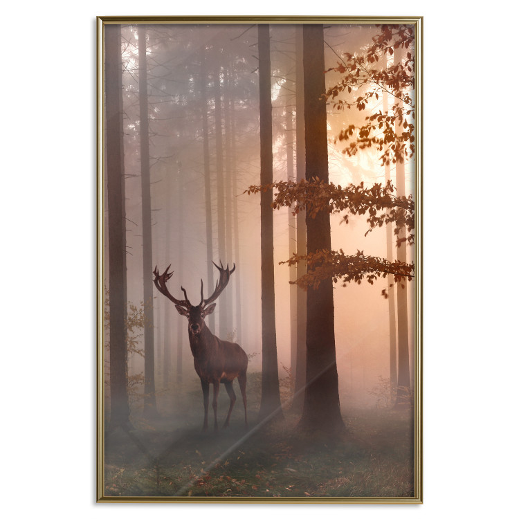 Poster Morning - wild deer among forest trees against the backdrop of an autumn landscape 120469 additionalImage 20