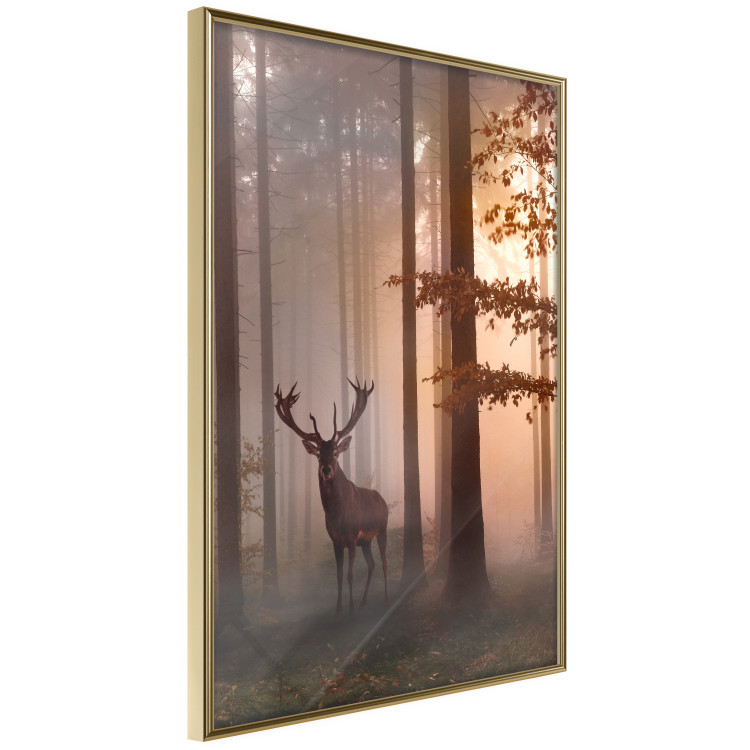 Poster Morning - wild deer among forest trees against the backdrop of an autumn landscape 120469 additionalImage 12