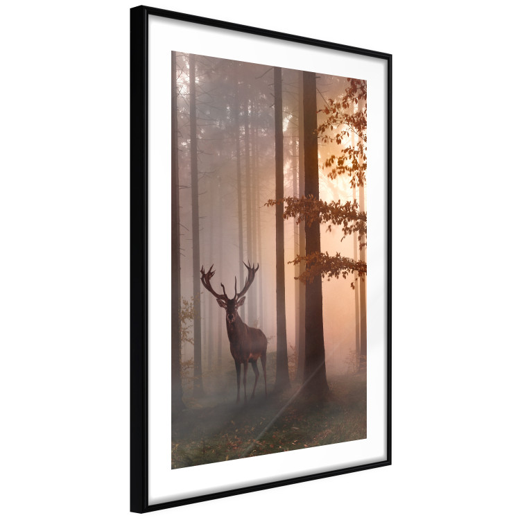 Poster Morning - wild deer among forest trees against the backdrop of an autumn landscape 120469 additionalImage 11