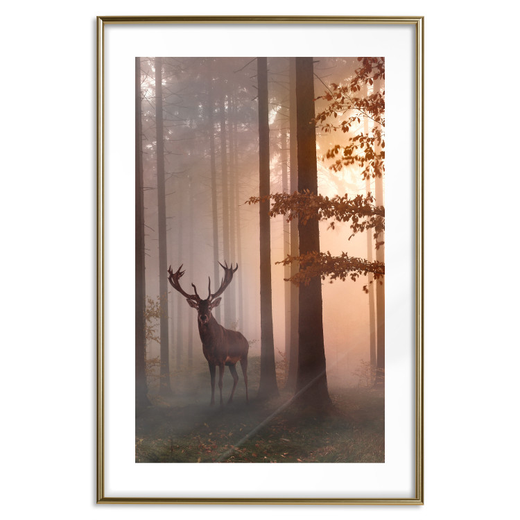 Poster Morning - wild deer among forest trees against the backdrop of an autumn landscape 120469 additionalImage 16