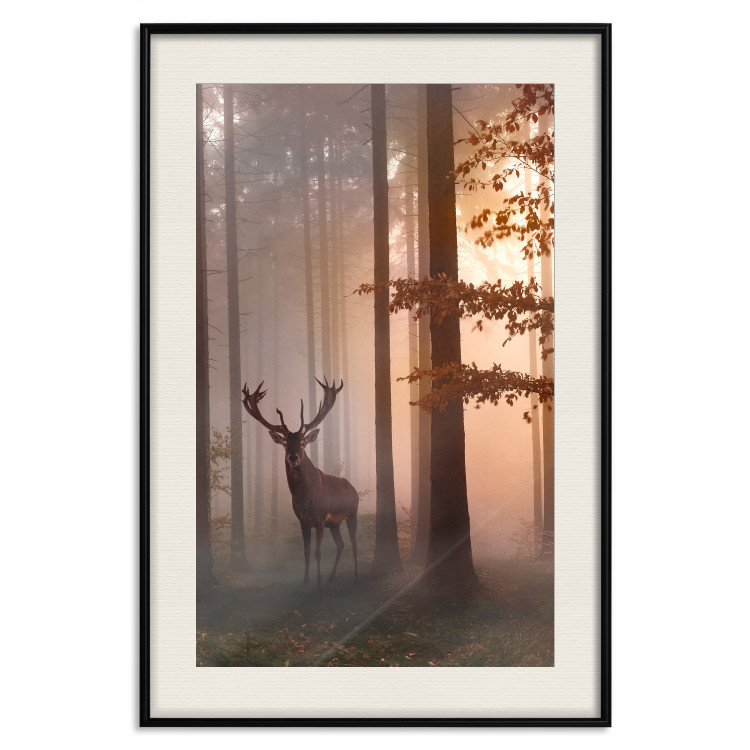 Poster Morning - wild deer among forest trees against the backdrop of an autumn landscape 120469 additionalImage 18