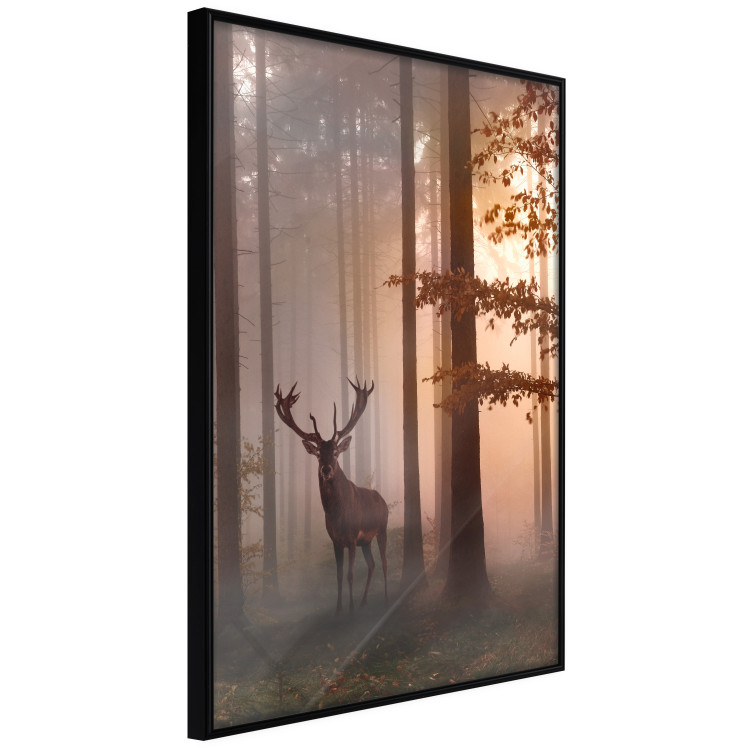 Poster Morning - wild deer among forest trees against the backdrop of an autumn landscape 120469 additionalImage 10