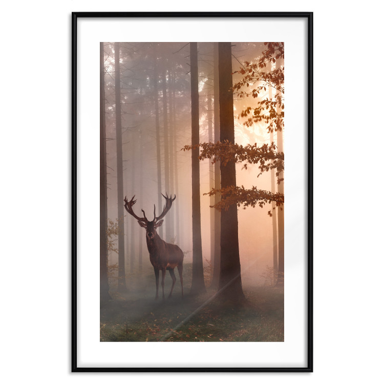 Poster Morning - wild deer among forest trees against the backdrop of an autumn landscape 120469 additionalImage 15
