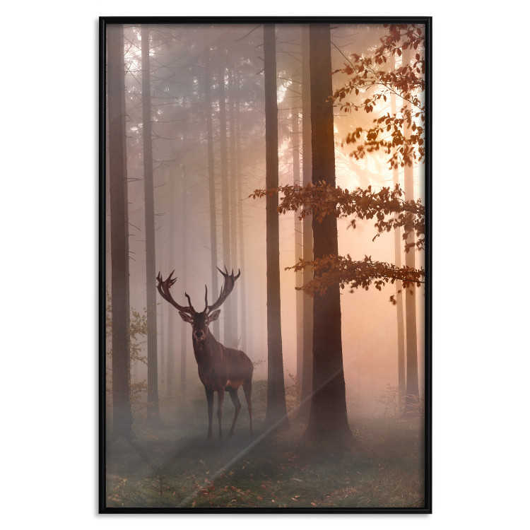 Poster Morning - wild deer among forest trees against the backdrop of an autumn landscape 120469 additionalImage 24