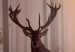 Poster Morning - wild deer among forest trees against the backdrop of an autumn landscape 120469 additionalThumb 9