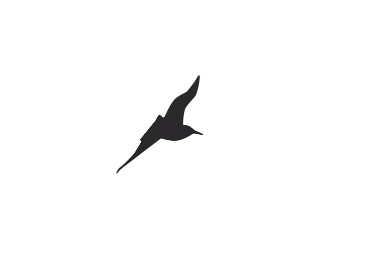 Canvas Print Black birds flight - minimalistic, black theme on a white background 123569 additionalImage 4