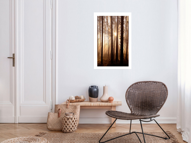 Poster Forest Trails - forest landscape of trees against sunlight rays 123769 additionalImage 2