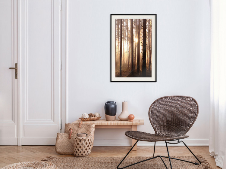 Poster Forest Trails - forest landscape of trees against sunlight rays 123769 additionalImage 22