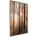 Poster Forest Trails - forest landscape of trees against sunlight rays 123769 additionalThumb 14