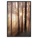 Poster Forest Trails - forest landscape of trees against sunlight rays 123769 additionalThumb 18