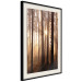 Poster Forest Trails - forest landscape of trees against sunlight rays 123769 additionalThumb 3
