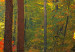 Large canvas print Sunny Autumn [Large Format] 125569 additionalThumb 5