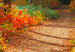 Large canvas print Sunny Autumn [Large Format] 125569 additionalThumb 4