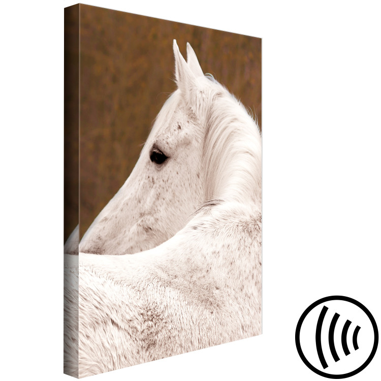 Canvas White horse sideways - photo fragment with animal on brown background 126869 additionalImage 6