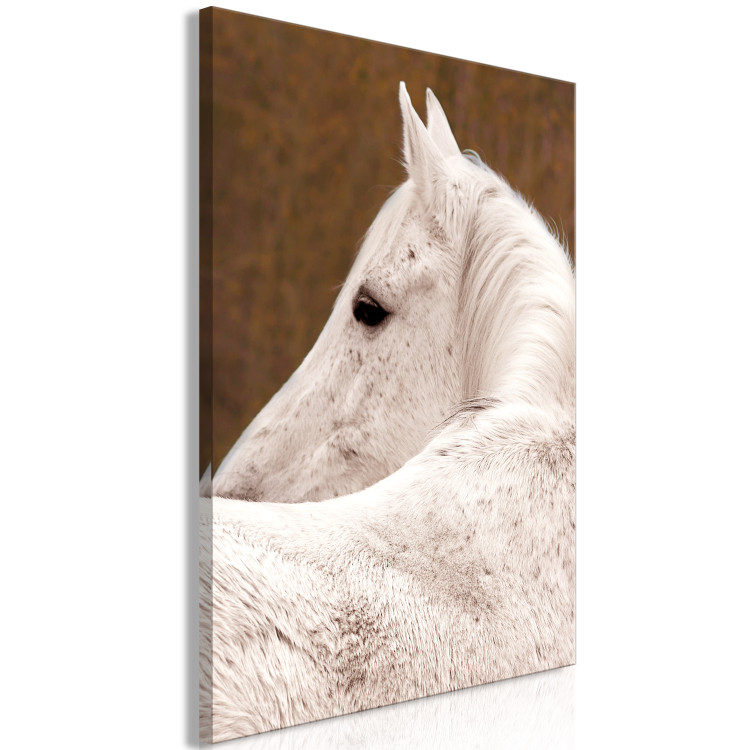 Canvas White horse sideways - photo fragment with animal on brown background 126869 additionalImage 2