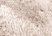 Canvas White horse sideways - photo fragment with animal on brown background 126869 additionalThumb 4
