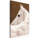 Canvas White horse sideways - photo fragment with animal on brown background 126869 additionalThumb 2