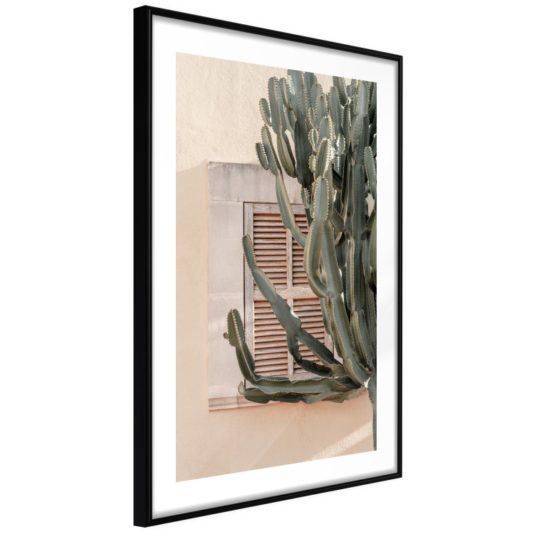 Poster Green Thorns - composition with tropical plant against architecture 129469 additionalImage 6