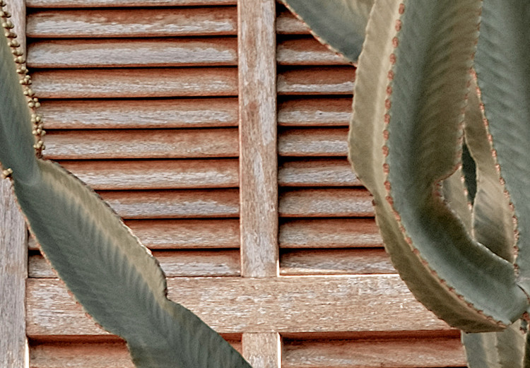 Poster Green Thorns - composition with tropical plant against architecture 129469 additionalImage 9