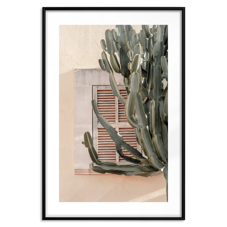 Poster Green Thorns - composition with tropical plant against architecture 129469 additionalImage 15