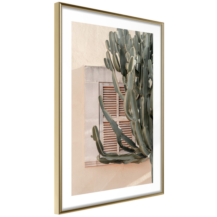 Poster Green Thorns - composition with tropical plant against architecture 129469 additionalImage 7