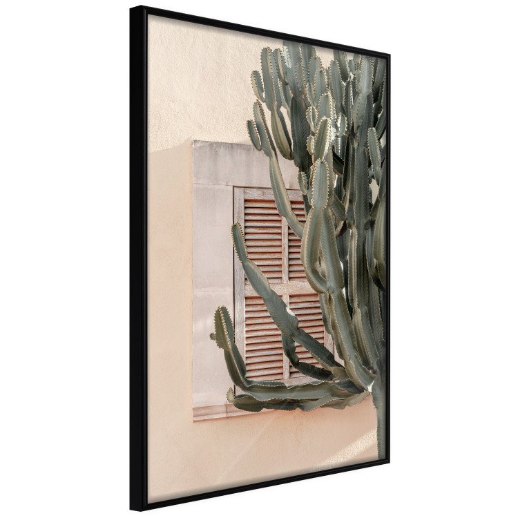 Poster Green Thorns - composition with tropical plant against architecture 129469 additionalImage 11