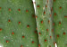 Canvas Ear Cactus (1 Part) Vertical 116879 additionalThumb 4