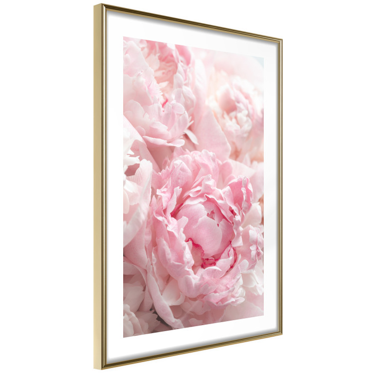 Poster Morning Nostalgia - plant with a pink flower in a pastel shade 122779 additionalImage 6