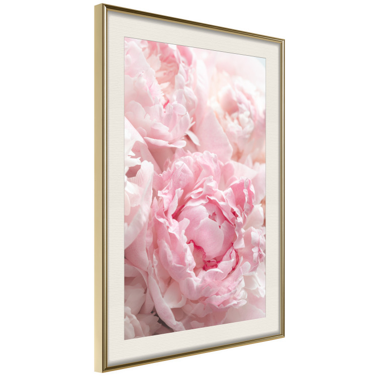 Poster Morning Nostalgia - plant with a pink flower in a pastel shade 122779 additionalImage 2