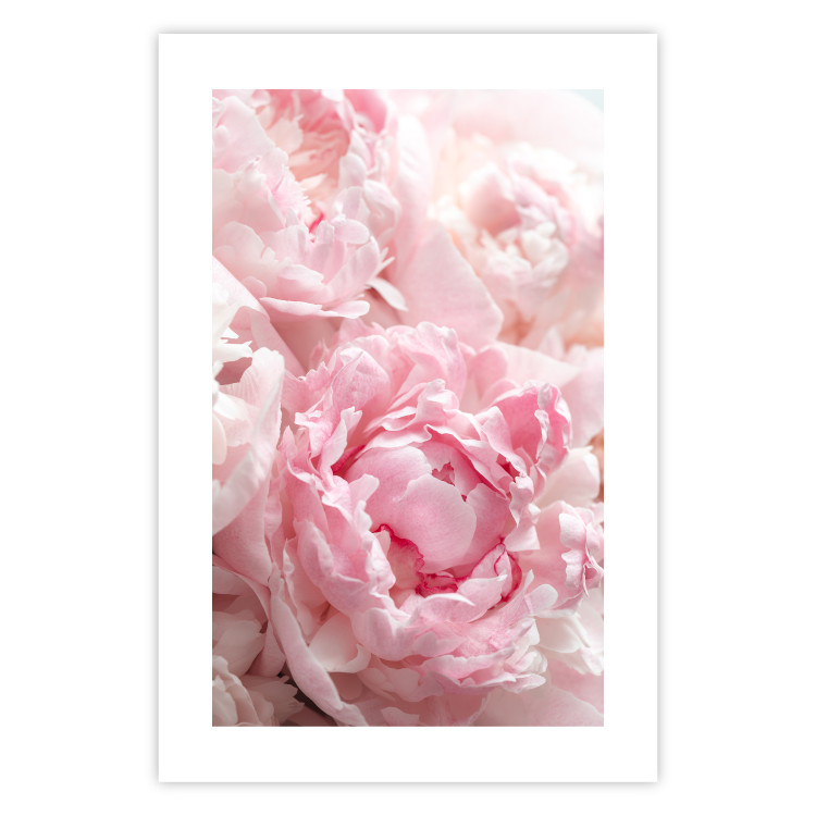 Poster Morning Nostalgia - plant with a pink flower in a pastel shade 122779 additionalImage 25