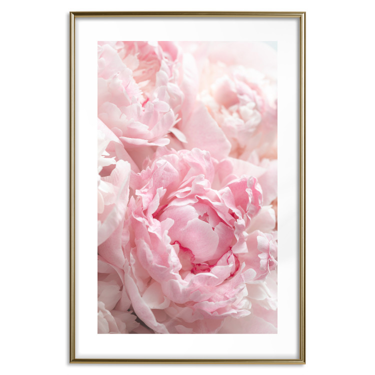 Poster Morning Nostalgia - plant with a pink flower in a pastel shade 122779 additionalImage 14