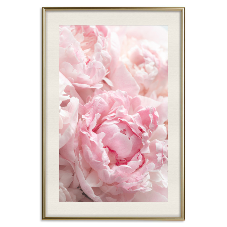 Poster Morning Nostalgia - plant with a pink flower in a pastel shade 122779 additionalImage 19