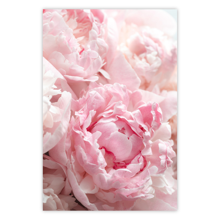 Poster Morning Nostalgia - plant with a pink flower in a pastel shade 122779