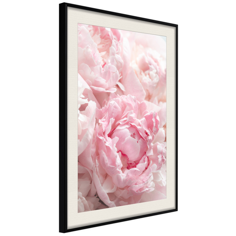 Poster Morning Nostalgia - plant with a pink flower in a pastel shade 122779 additionalImage 3