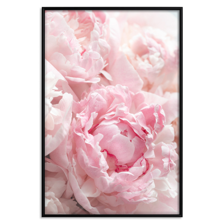 Poster Morning Nostalgia - plant with a pink flower in a pastel shade 122779 additionalImage 24
