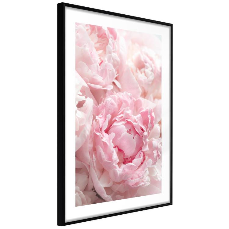 Poster Morning Nostalgia - plant with a pink flower in a pastel shade 122779 additionalImage 11