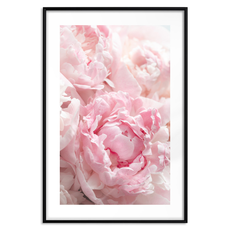 Poster Morning Nostalgia - plant with a pink flower in a pastel shade 122779 additionalImage 17