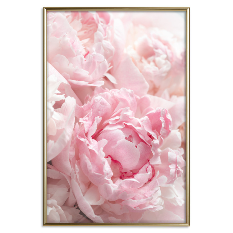 Poster Morning Nostalgia - plant with a pink flower in a pastel shade 122779 additionalImage 16